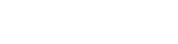 Chanel CC