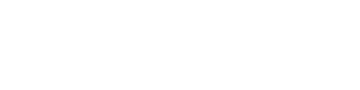 Chanel CC