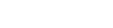 Chanel CC